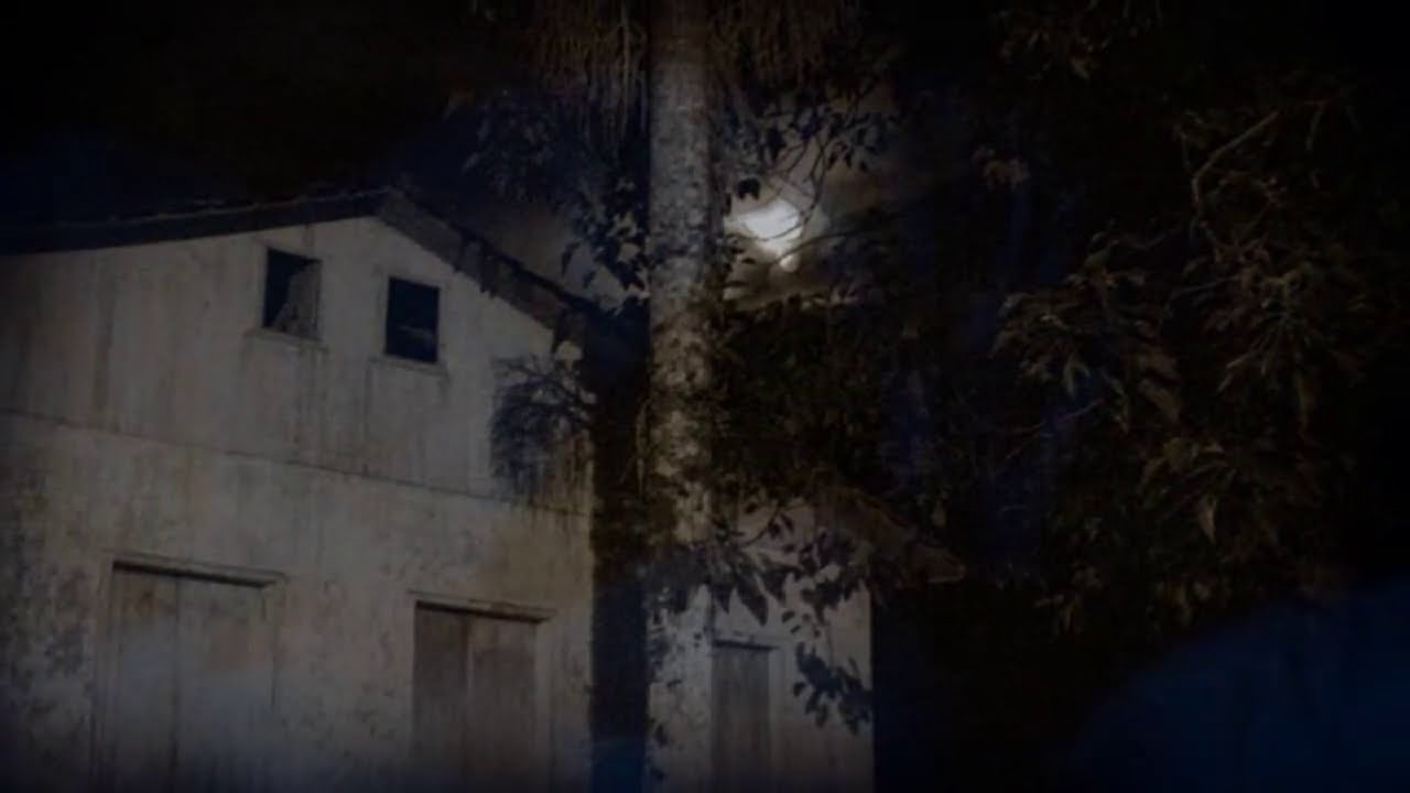 O Lobisomem uivou na floresta e eu acordei na fazenda