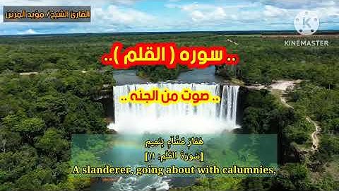 صوت من الجنه.. القارئ الشيخ مؤيد المزين في أجمل التلاوات المميزة لسورة القلم.. #قران_كريم