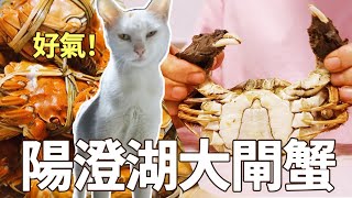 去蘇州陽澄湖吃正宗大閘蟹現撈現吃太過癮啦李喜猫