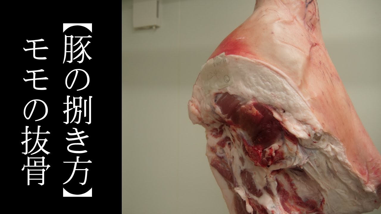 【豚解体】モモの抜骨