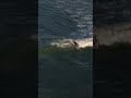 一宮海岸 ドローン空撮 | サーフィン3ライディング+夕景 | 2026.5.12