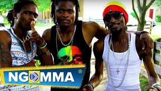 PALLASO - About The fights  ( VERY SORRY )