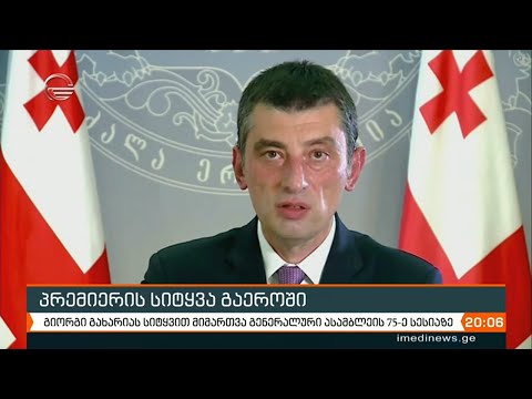 პრემიერის მიმართვა გაეროს გენერალურ ასამბლეას