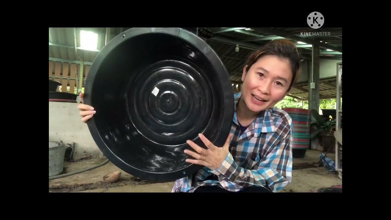 การเลี้ยงไส้เดือนตั้งแต่ต้นจนจบค่ะ