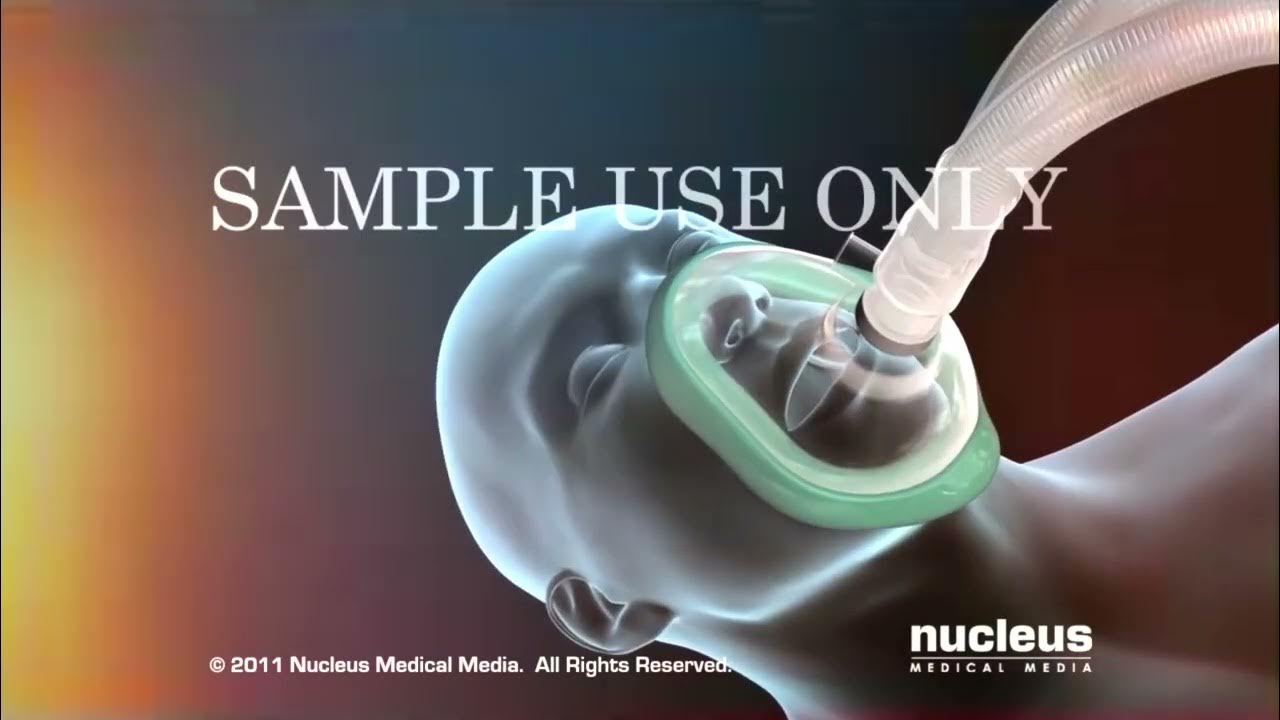 3D Animation of Piles Examination shorts YouTube