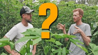 A Farmer Reacts to My Grocery Row Gardens (And Shares What You Need for Small Farm Success)