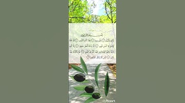 سورة التين بصوت جميل