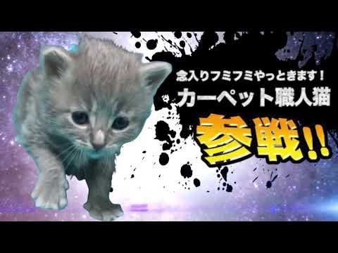ヤバ過ぎネッコ全員参戦！！part54