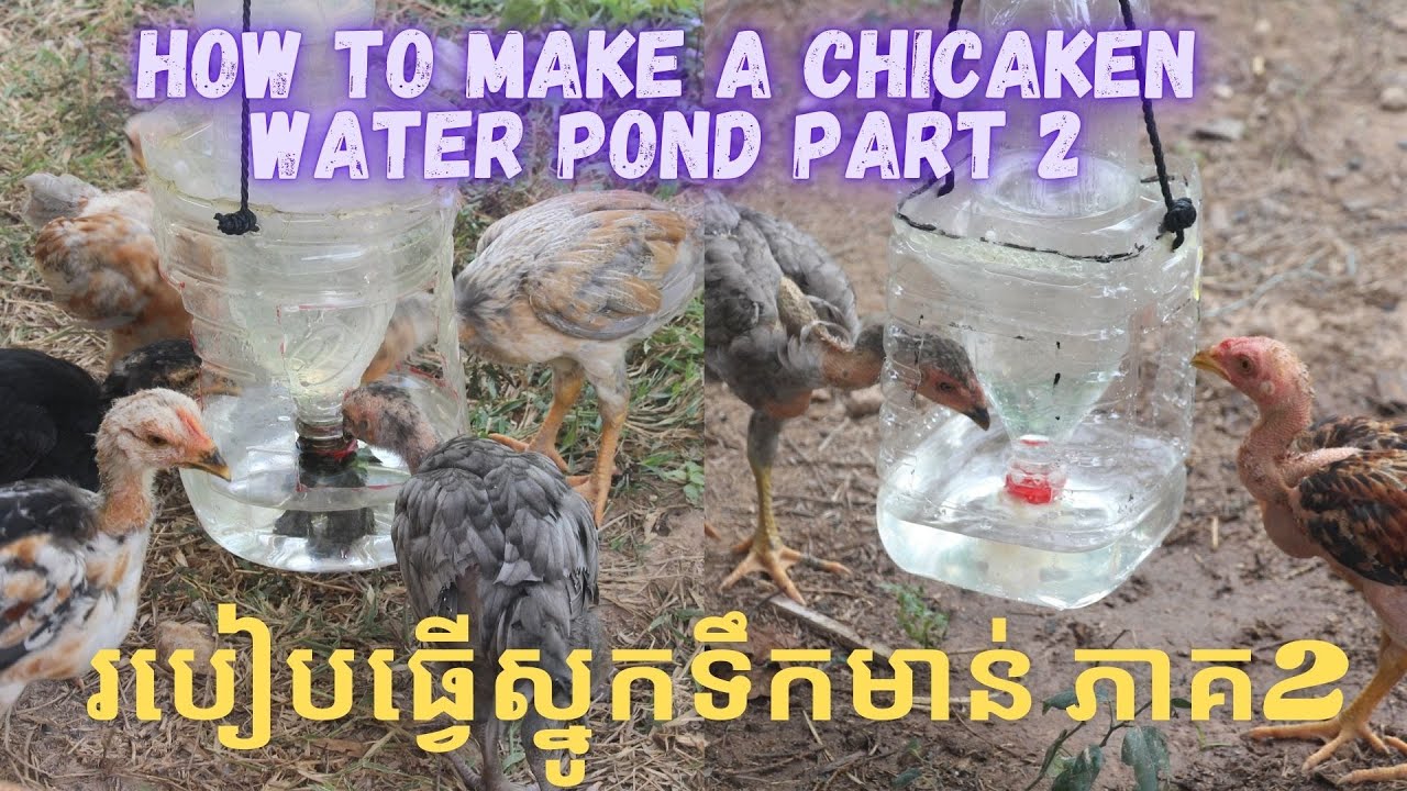 How to make a chicken water feeder part 2 ,របៀបបង្កើតស្នូកទឹកមាន់ - YouTube