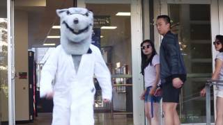 Ubc Science Rxn 2016 Teaser First Year Orientation Event