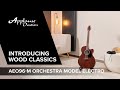 Electro-Acoustic Excellence・ Applause AEO96-M Orchestra Model Electro