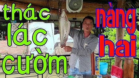 CÂU CÁ THÁC LÁC CƯỜM CHẾ BIẾN CHIÊN XẢ ỚT | quốc toản fishing