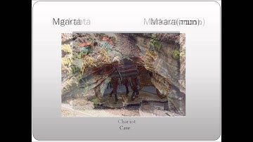 Introduction to Anthropology Video