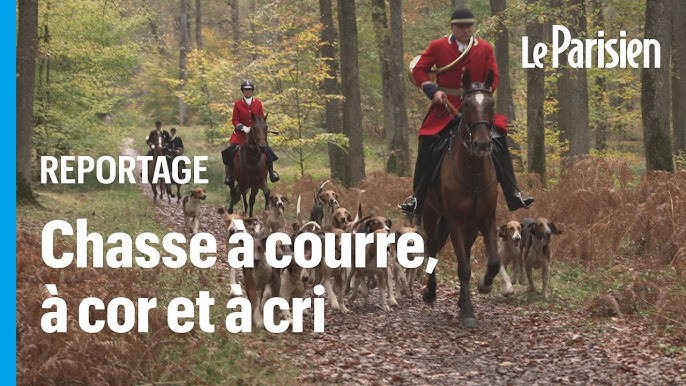 La trompe de chasse en vènerie - Rallye Pique Avant Nivernais