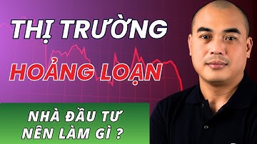 Xu hướng dòng tiền |  Khi thị trường  Hoảng Loạn nhà đầu tư nên làm gì?