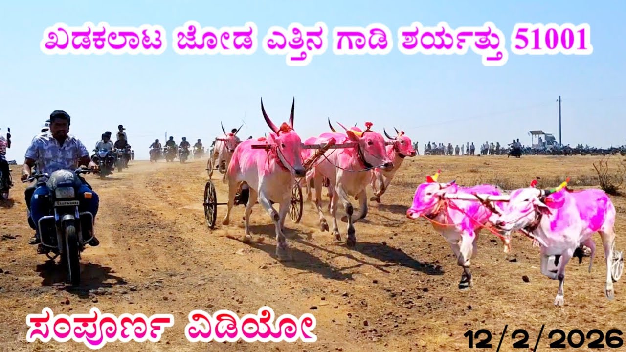 ಖಡಕಲಾಟ ಜೋಡ ಎತ್ತಿನ ಗಾಡಿ ಶರ್ಯತ್ತು 51001 खडकलाट माळ जनरल🥇ಗ್ಯಾಸ್ಗು   ದಾನೋಲಿ 🥈ಸಂಜು ಅಗಳಗಾವ್🥉ಸಾಗರ್ ಚಿಕ್ಕೋಡಿ