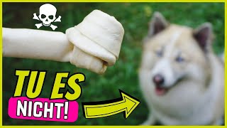 7 Kauknochen, Die Du Deinem Hund Niemals Geben Darfst