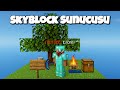 SkyBlock Sunucusunda Gizli Özellikleri Keşfettim!