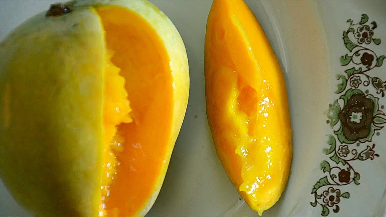 Varieties of Mangoes in India