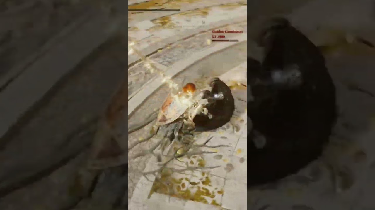 Compelling gameplay [Elden Ring]