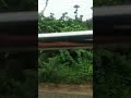Long journey beside water canal in a rainy day...| All together awesome experience...||