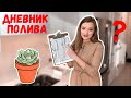 Как поливать суккуленты | Мой дневник полива