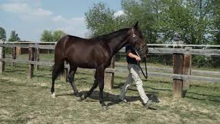 Killiam Fromentro - Its N. 24