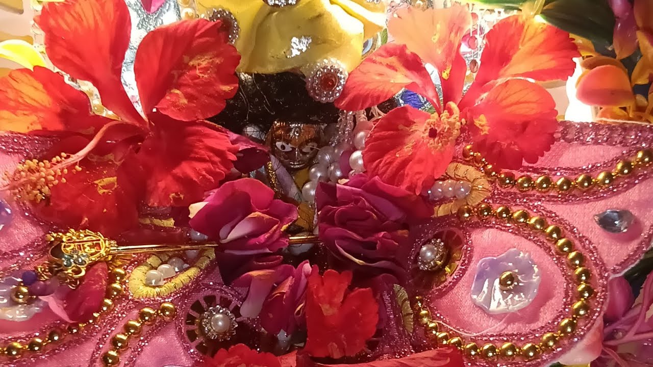 फुलेरा दूज पर हमें लड्डू गोपाल की पूजा कैसे करनी चाहिए और क्या चीज हमें चढ़ाने चाहिए लिए जानते हैं