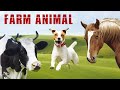 O Som dos Animais Da Fazenda - Farm Animal Sound