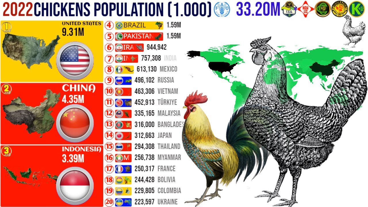 Top World's Chicken Population by Country 🐓 - YouTube - How Many Chickens Are In The World 2024