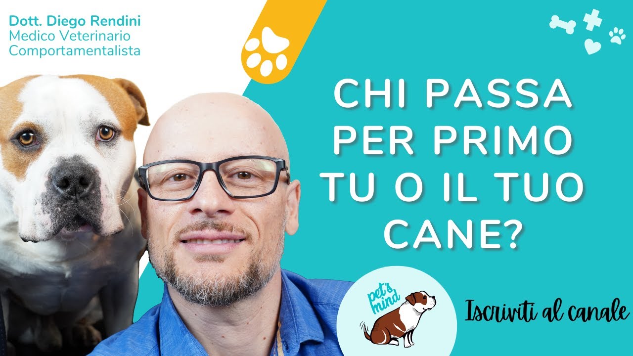 Chi passa per primo tu o il tuo cane?