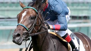 Bama Breeze Shows Versatility for Honor Code