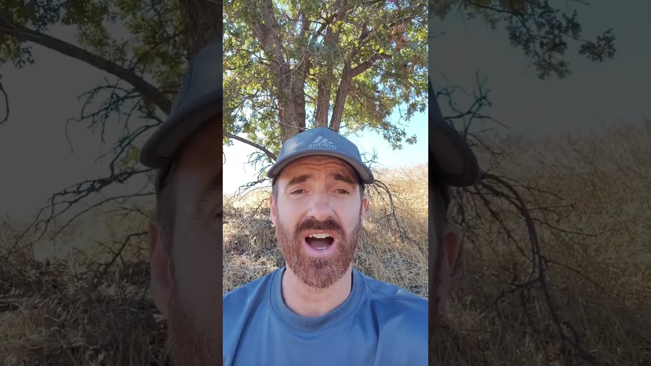 Systems are CRUCIAL for your 