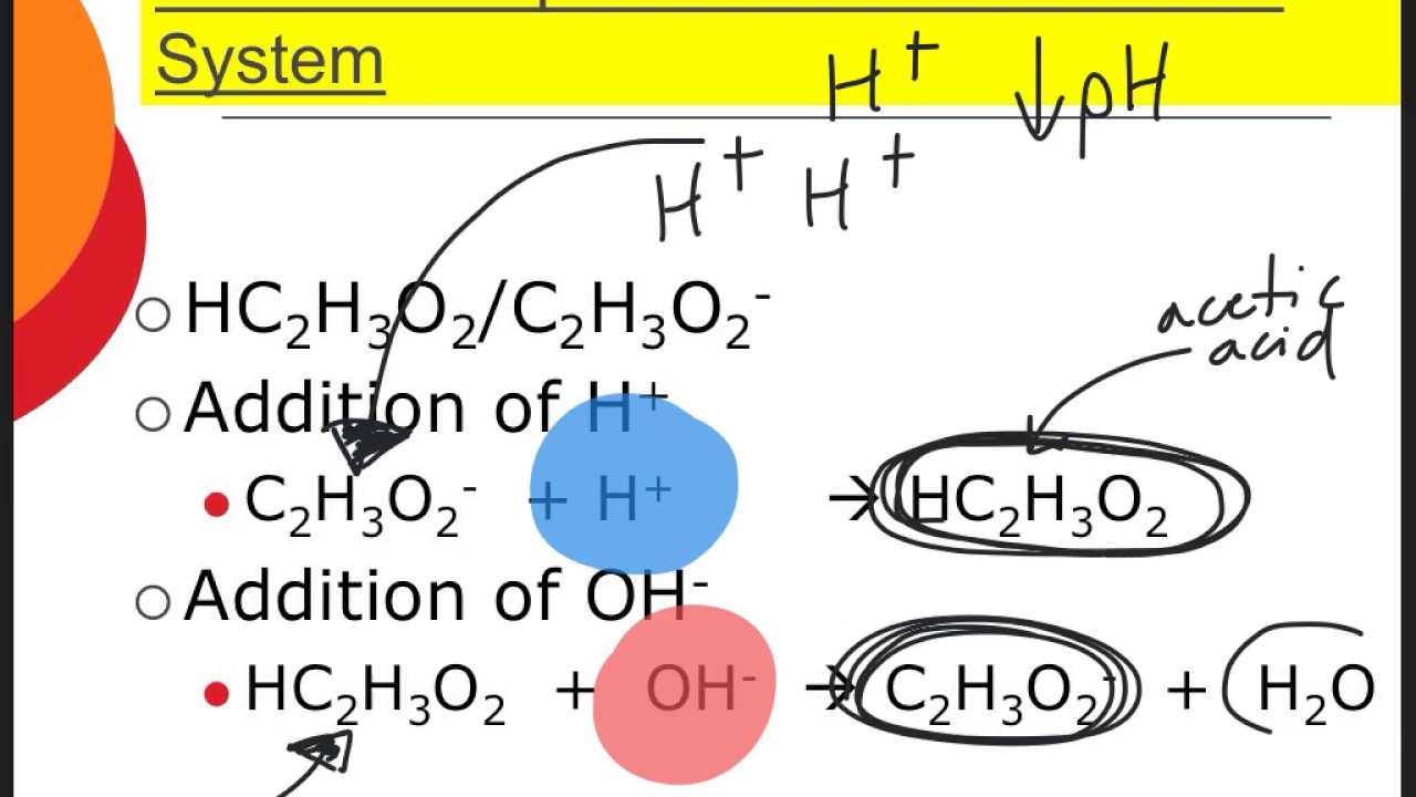 Unit 15 Neutralization Notes pt3 - YouTube