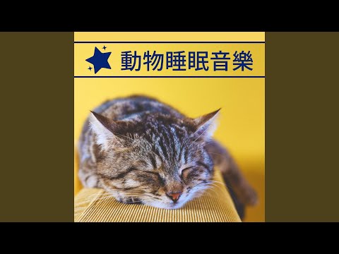 Ver 小貓安睡音樂 en YouTube