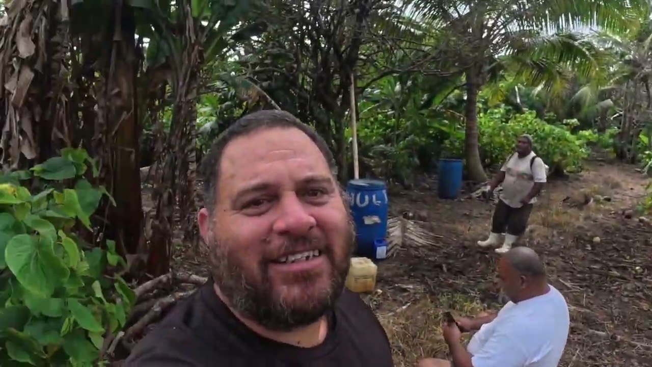 The best kava farm in Eua Tonga 🇹🇴 (millions $$)