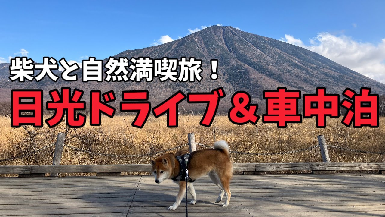 【日光ドライブ＆車中泊】柴犬と巡る滝・湿原・地下洞窟……自然満喫1泊2日旅！