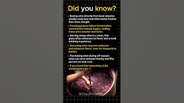 Wine Hacks That Save Money and Taste Better