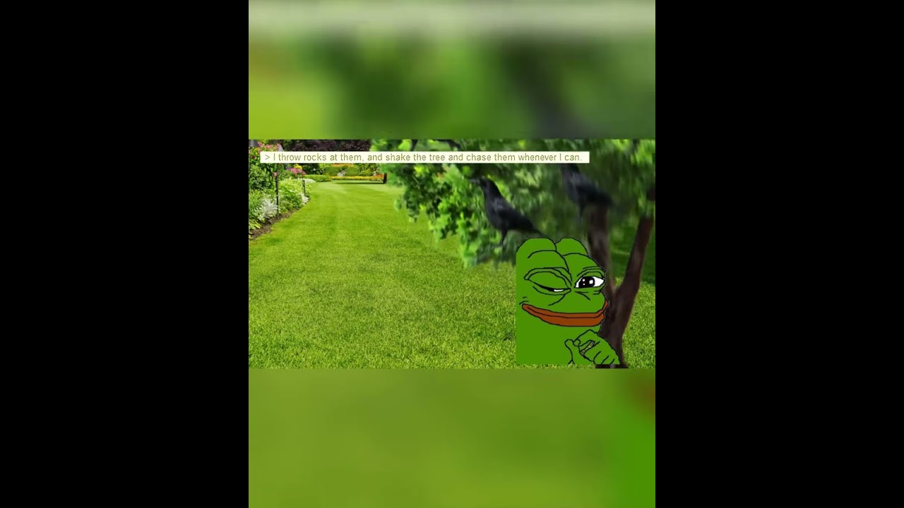 Anon started world war crow greentext 4chan greentextanimations...