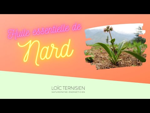 Vidéo: Utilisations, Avantages, Effets Secondaires Et Mode D'utilisation De L'huile Essentielle De Nard De Spikenard