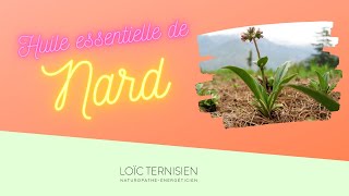 Propriétés De Lhuile Essentielle De Nard