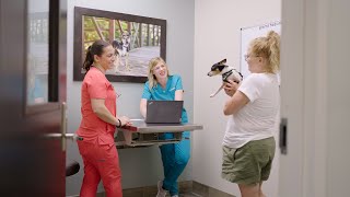 Spotlight on Internal Medicine | BluePearl Pet Hospital