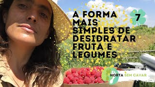 A forma mais simples e económica de desidratar fruta e legumes! Horta sem cavar - Episódio 7