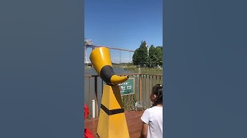 Video Triệu View Thỏa Mãn Người Xem | Best Videos Oddly Satisfying (P484) #Shorts