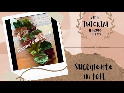 Video: Kit di base per piante grasse facili: come utilizzare un kit per piante succulente