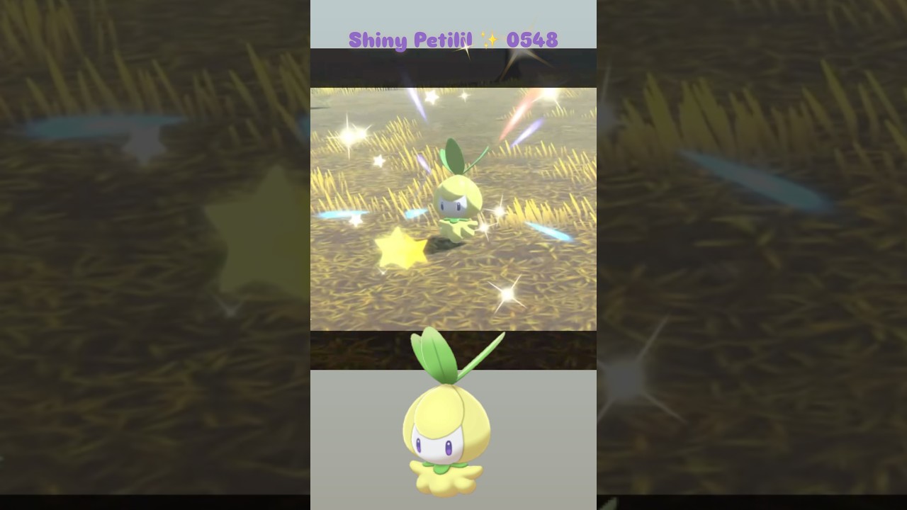 Shiny Petilil ✨ 0548 caught in Pokemon Legends Arceus with Massive Mass Outbreak