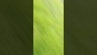 I thought I had a day off of not running