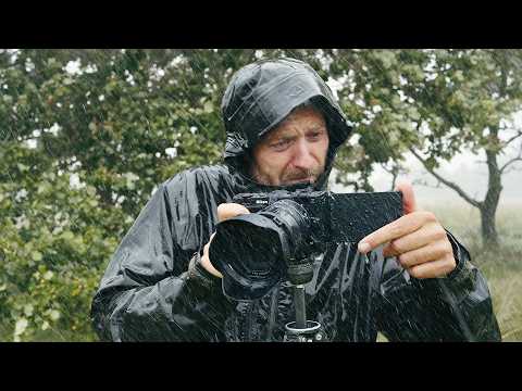 Nikon Zr - Field Tested For 19 Days