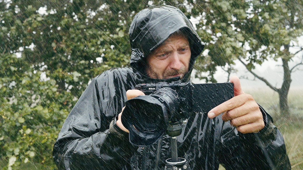 Nikon ZR - Field Tested for 19 Days