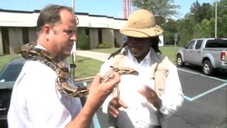 Madison Snake Escape